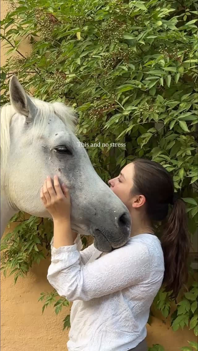 Just a perfect little summer day with your horse 🤍 not too much to ask for…
#sophisticatedequestrian#equestrianlifestyle#horsegirlenergy#pferdemädchen