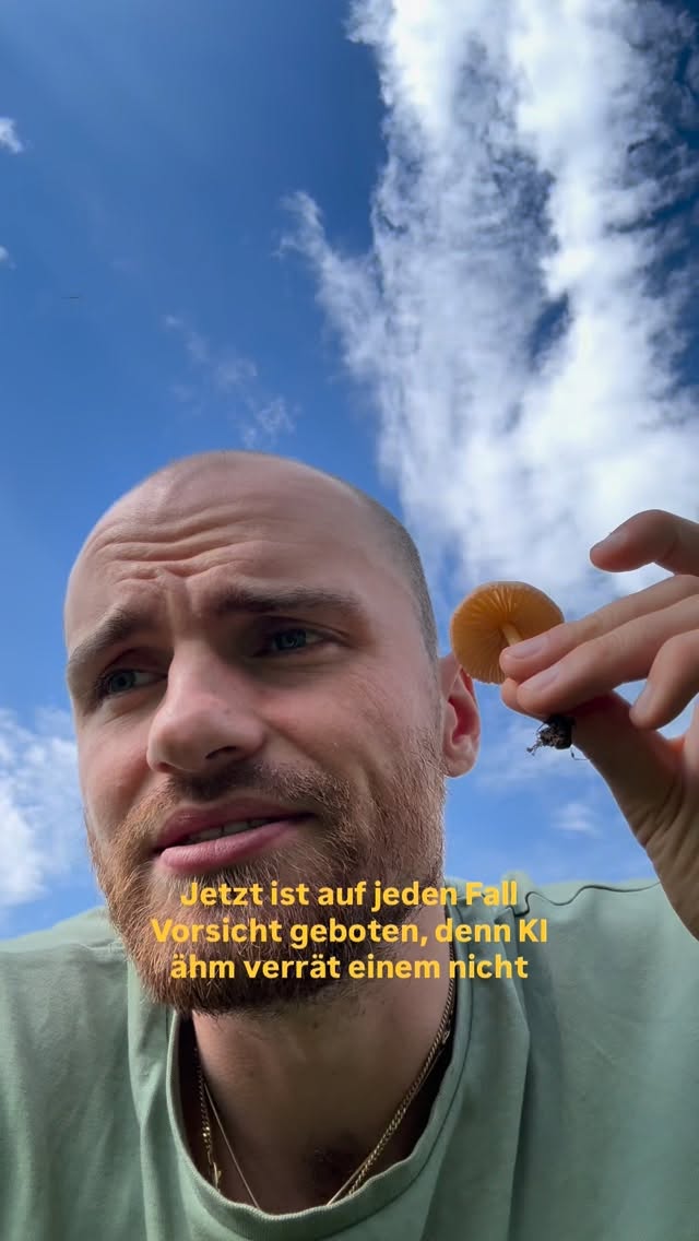 Der Nelken Schwindling kann super lecker sein, ist aber auch gleichzeitig tödlich giftig. Warum? Wieso weshalb erfährst du in diesem Video?
#freigefuehl #natur #pilze