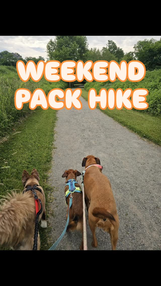 Saturday morning with friends - what could be better? π©·ππΎ
Next Hike: June 27th!