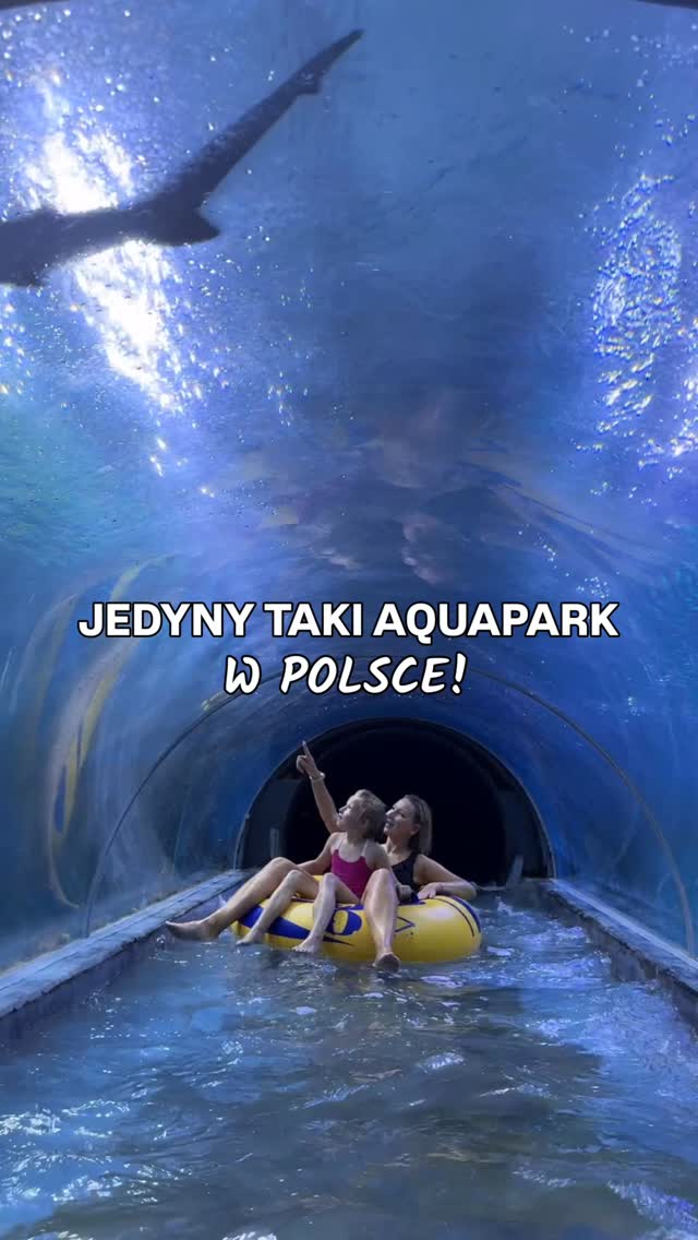 🎢 Jedyny aquapark w Polsce, gdzie zjedziesz zjeżdżalnią prosto do akwarium z rekinami🦈
💫 Zakręcisz się na Aquaspinerze – jedynej obrotowej zjeżdżalni w Europie!
🎉 A to dopiero początek atrakcji!
👨👩👧👦 Family Slide – 48-metrowa zjeżdżalnia z pontonami
➡️ kończy się w 315-metrowej rzece River Expedition!
🌊 Wave Pool – basen ze sztuczną falą!
🏴☠️ Strefa dla dzieci:
brodzik, zjeżdżalnie i prawdziwy statek piracki!
🔥 To wszystko tylko w Aquapark Reda!
Przyjedź i przeżyj wodną przygodę życia!
ℹ Aquapark Reda – informacje praktyczne
⏰ Godziny otwarcia: 8:00–22:00, ostatnie wejście możliwe 60 min przed zamknięciem. Rano lub wieczorem – najmniej tłoczno!
💸 Ceny:
• Taryfa normalna: od 45 zł (1 h) do 115 zł (cały dzień)
• Taryfa specjalna (weekendy/święta): od 55 zł (1 h) do 135 zł (cały dzień)
• Taryfa wakacyjna (online): od 80 zł (1 h) do 195 zł (cały dzień)
• Dzieci do 3 lat wychodzą bezpłatnie.
• Aquaspinner jest dodatkowo płatny 5 zł za zjazd od osoby
🅿 Parking:
— P1/P2 – za darmo (najbliżej)
— P3 – 20 zł/dzień
— P4 – 1 h gratis, potem 3,50 zł/30 min
Jaki jest Wasz ulubiony aquapark?
#podrozezdzieckiem #atrakcjedladzieci #pomorskietravel #podrozepopolsce #polskanaweekend