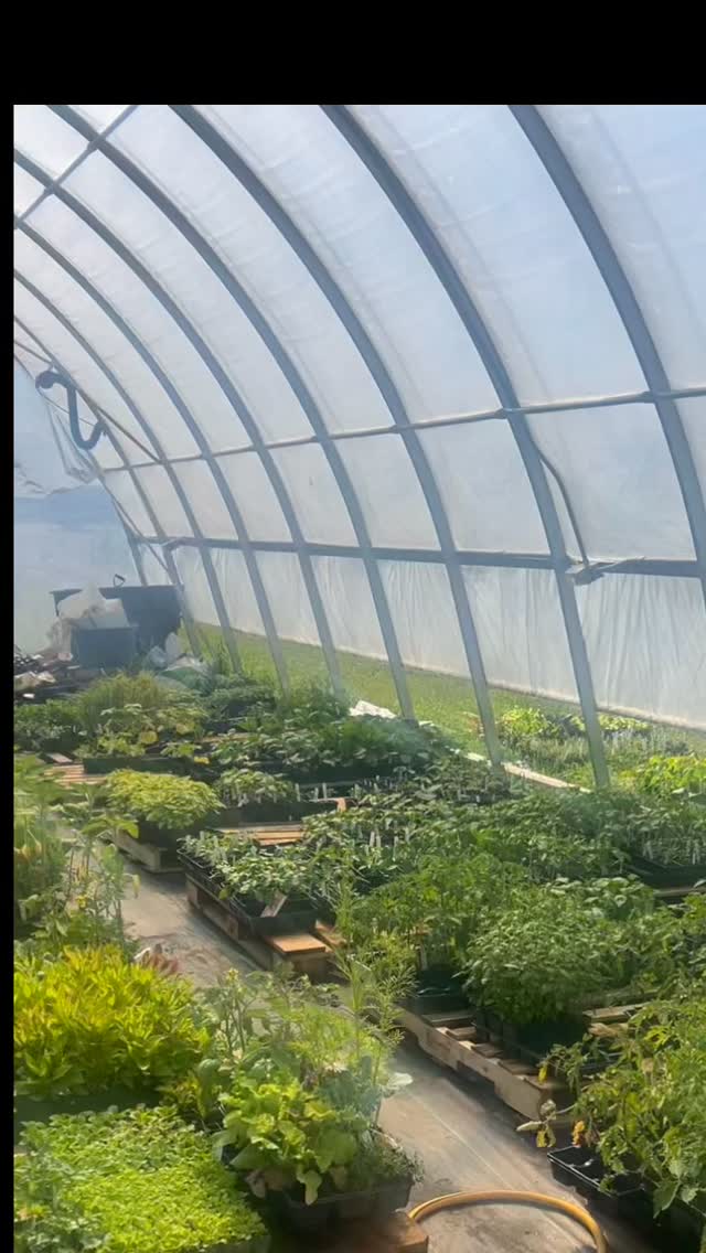 Any late planters in need? There’s still time ! Not to worry !
We’re open Monday - Friday from 9am-3pm at 1757 Woodroffe avenue with tons of varieties available for $4 a pot from Tomatoes to squash, watermelons and flowers, cucumbers and zucchini , to name a few.
Looking forward to seeing photos of your peppers flourish and your eggplants grow 🤗