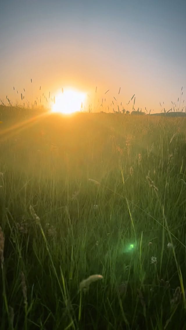 Du bist nicht durch all deine schweren Phasen gegangen, weil du es verdient hast. Du bist durch all das gegangen, weil es hier so heftig und schwer ist und weil etwas in dir stärker ist als jeder Schmerz, jede Enttäuschung und jede Angst. Dir ist das passiert, weil du einfach dieses Licht bist, was auf den Tisch muss um zu strahlen, was aber unterdrückt wurde.
Du hast nie aufgehört zu lieben und zu hoffen?
Etwas in dir hat nie aufgehört, sich an seine wahre Natur zu erinnern?
Dieses Licht bist einfach du.
Ich bin dafür da, dass du dich erinnerst.
🔥 ERWECKE DEIN SCHAMANISCHES HERZ
das schamanische Herz verstehen, stärken und leben.
🌱 Die Medizin ist Liebe. Und Gott ist Liebe.
Kommentiere „HERZ“, wenn du mehr Infos möchtest.