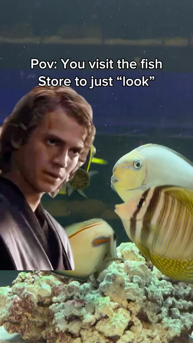 Every aquarium hobbyist knows the feeling. 😂
Open today 12-5
Stock list:
https://www.undertheseanc.com/retail-store #reeftank #aquariumhobby #fishtank #reefaquarium #plantedtank