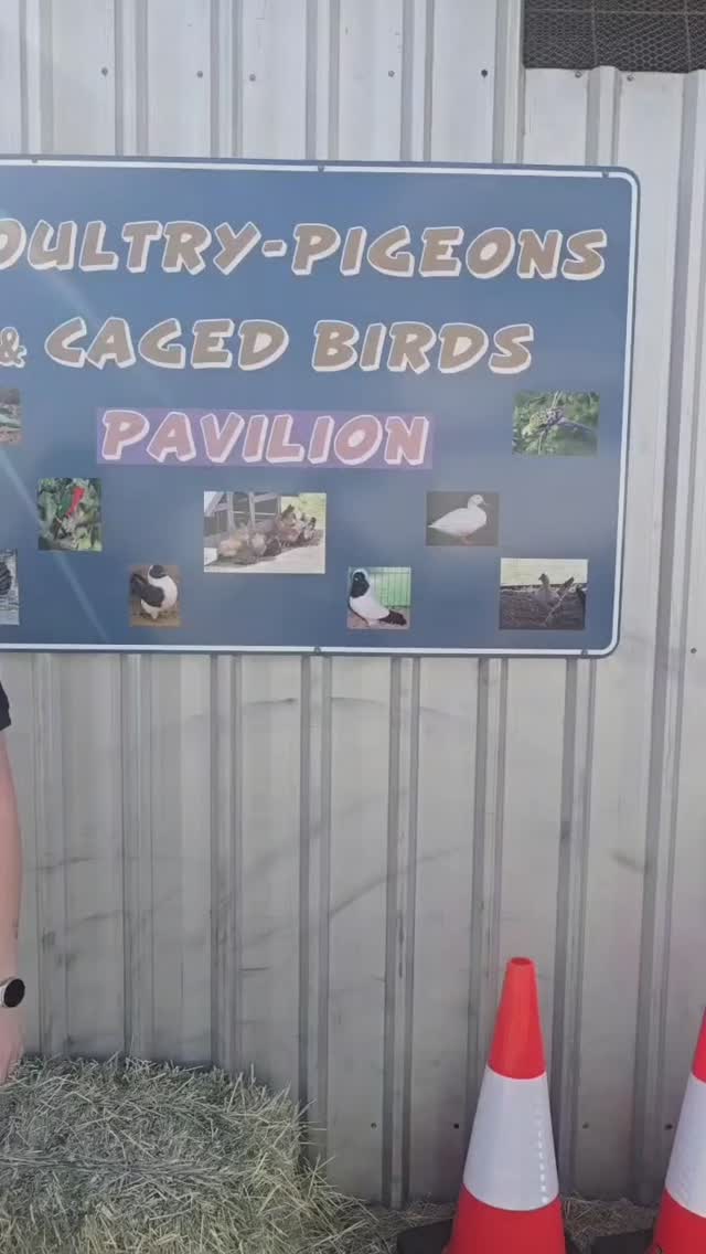 What an AMAZING weekend we have had at the Cloncurry & District Show! So much to see and do 🎪 Angela our social media team member takes us on a quick recap around the grounds stopping in at some of the crowd favourites! 🎢
Grand Parade and Official Opening is on at 4:45pm then straight into the start of our evening events 🎆 make sure to check the program for what is coming up! https://www.cloncurryshow.com.au/_files/ugd/722f4d_d2e005e5167344acab176ea27c8624d2.pdf