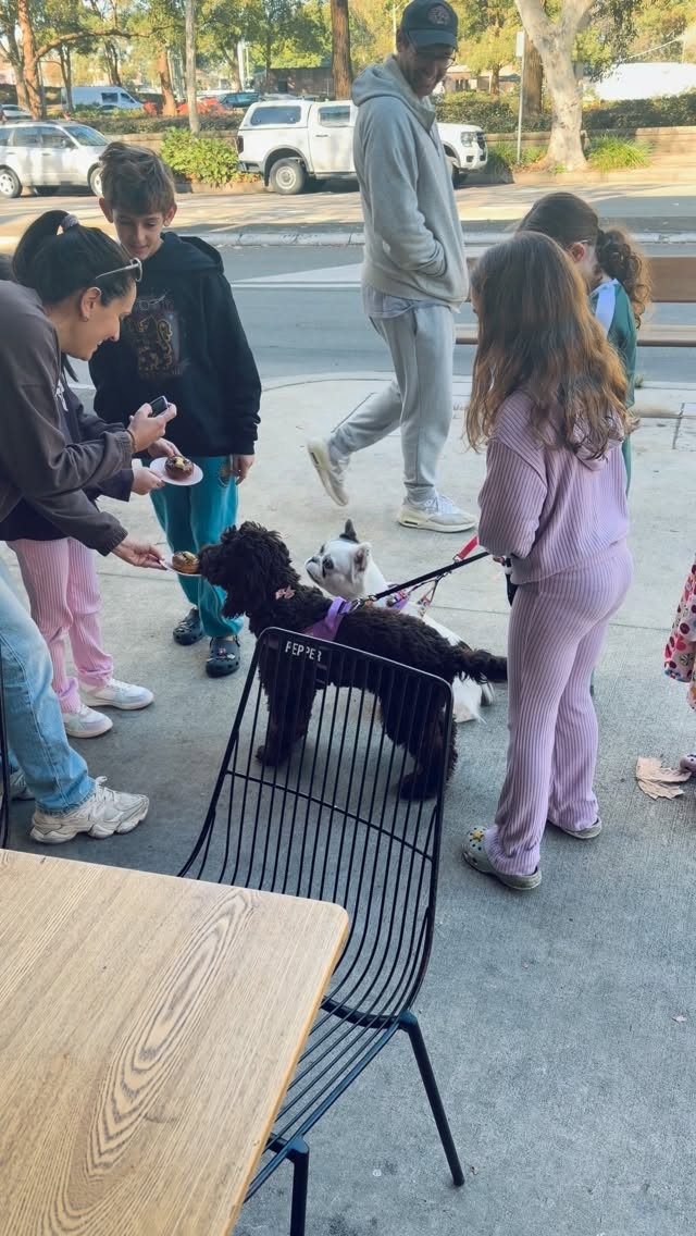 Kids 🤝 Dogs 🤝 Doggie Donuts 🐾🍩
The cutest King’s Birthday combo we’ve seen all day 💛
We’re OPEN this long weekend—come grab a coffee while your pup enjoys a treat of their own.
#doggiedonuts #dogfriendlycafé #kingsbirthday👑 #nakedbrew