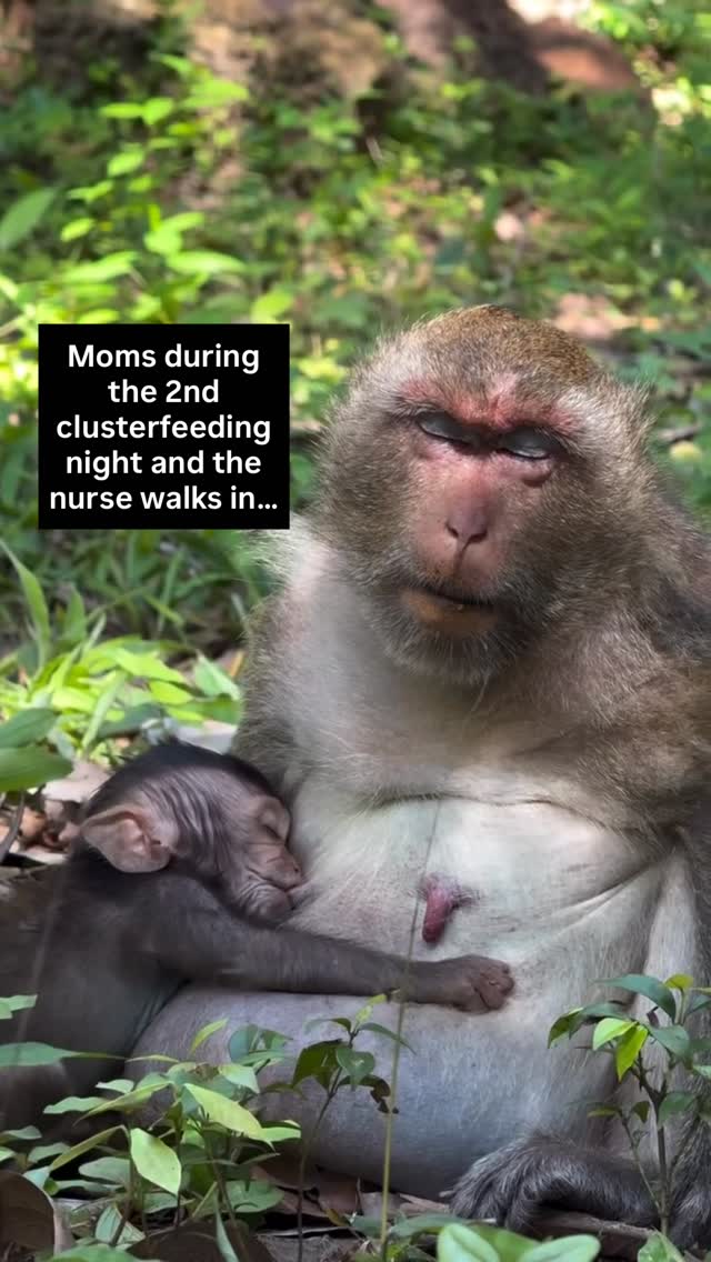 I promise… I’ve been awake this whole time 🫣
Did the 2nd night clusterfeeding get you? That’s why we call it the “all they can eat buffet… AND MORE”