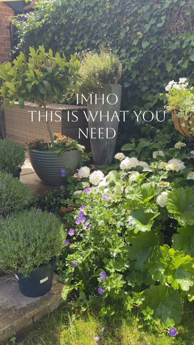 Today’s remedy:
Stand in the garden.
Let the sprinkler catch your feet.
Let the sun warm your skin.
Look at something green.
Stay there until your thoughts begin to sound like birdsong instead of a to-do list.
#NervousSystemReset #Grounding #NatureTherapy #HerbalistLife #GardenTherapy