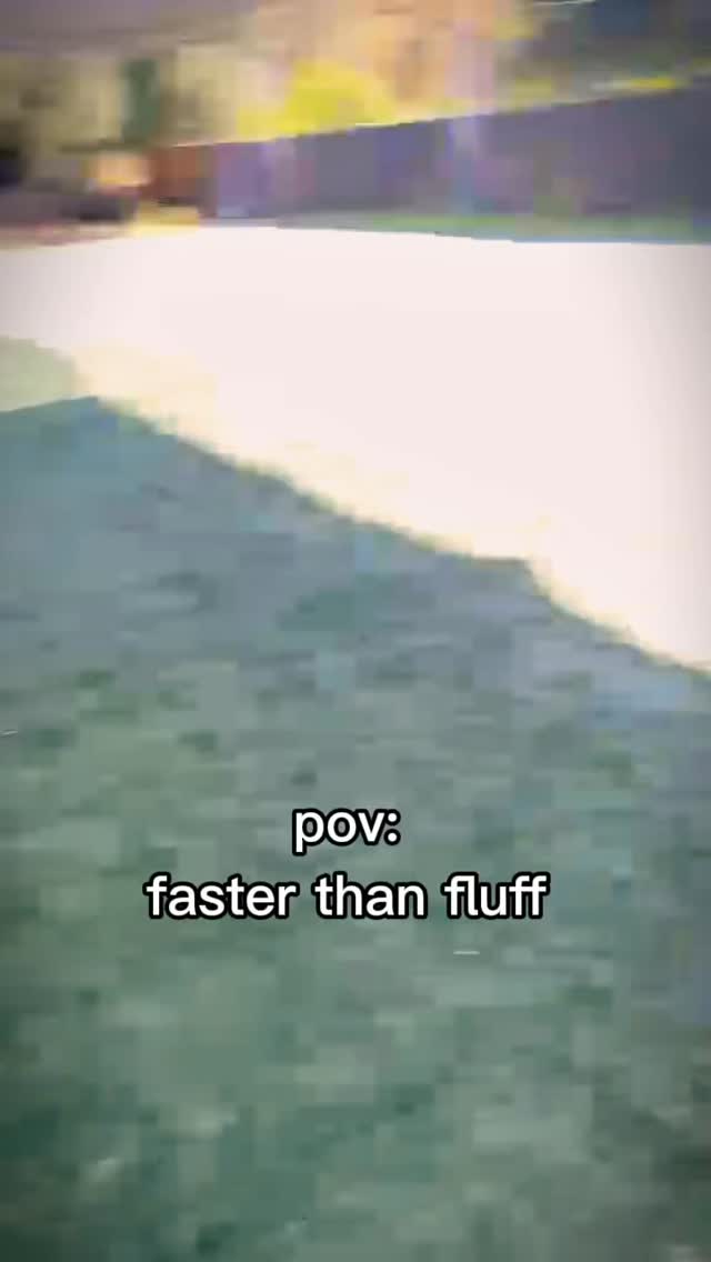 Fast as fluff boooiiiii 🏃🏃♀️
#ocdogranch #dogtraining #dogboarding #bootcamp #dogsoforangecounty