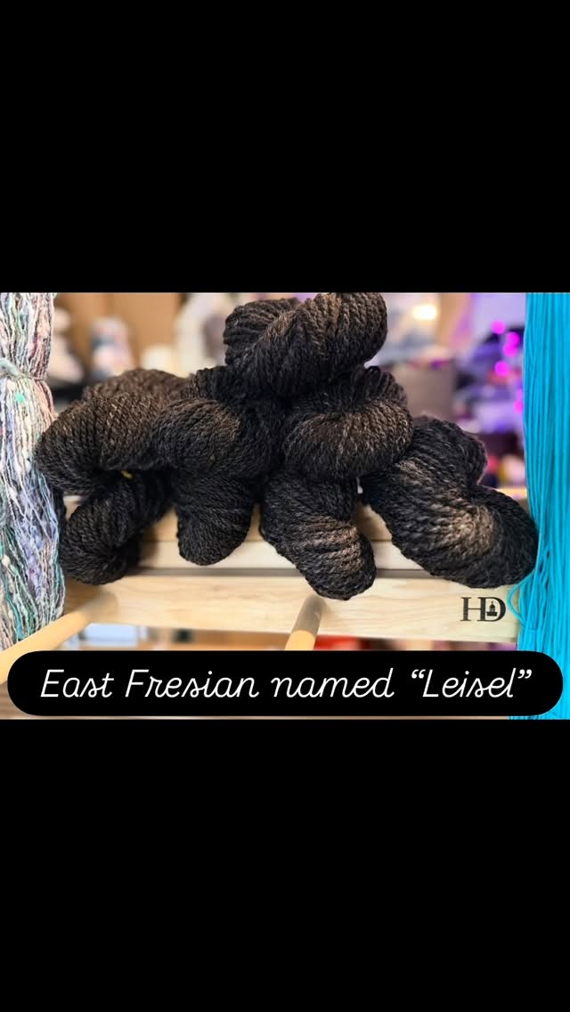I’ve been processing an East Fresian sheep named “Leisel”. It has been sheer joy working with this fleece. I still have a little bit more to spin and then I’ll give the total numbers of yards and all the stuff. I know you guys have been asking me to show the process but a videographer I’m not and if we wait until I have a moment to dress nice and be presentable… well it will never happen 🥰 Hope you enjoy❣️
#Fiber #sheepwool #handspunyarn #spinning #yarn