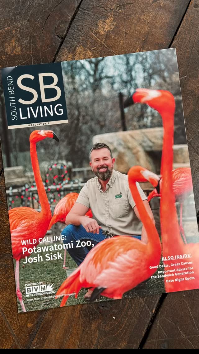 A few of my favorite images from my recent South Bend Living Magazine feature on Josh Sisk from the Potawatomi Zoo.
One of the coolest parts of this job is getting to meet people I probably never would have crossed paths with otherwise. Every person has a story, and Josh definitely has one. From working with animals around the world to leading one of South Bend’s favorite attractions, it was fun getting to hear about his journey while creating these portraits.
I’m always grateful for opportunities like this. Photography has taken me so many places, introduced me to so many interesting people, and continues to remind me how much I love what I do.
Thanks to South Bend Living for having me along to help tell these stories. ❤️
#SouthBendLiving #southbendphotographer #EditorialPhotography #PotawatomiZoo #storytellingthroughphotography