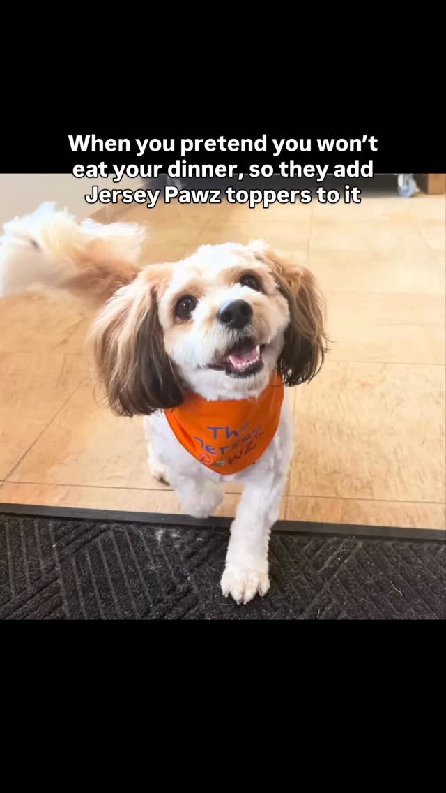 Toppers to entice them to eat their kibble, as well as 25% & 50% supplementation, and 100% full fresh based on their caloric needs. #ExtendTheirStay #DogsOfInstagram #humangradedogfood #farmersmarket #shopsmall