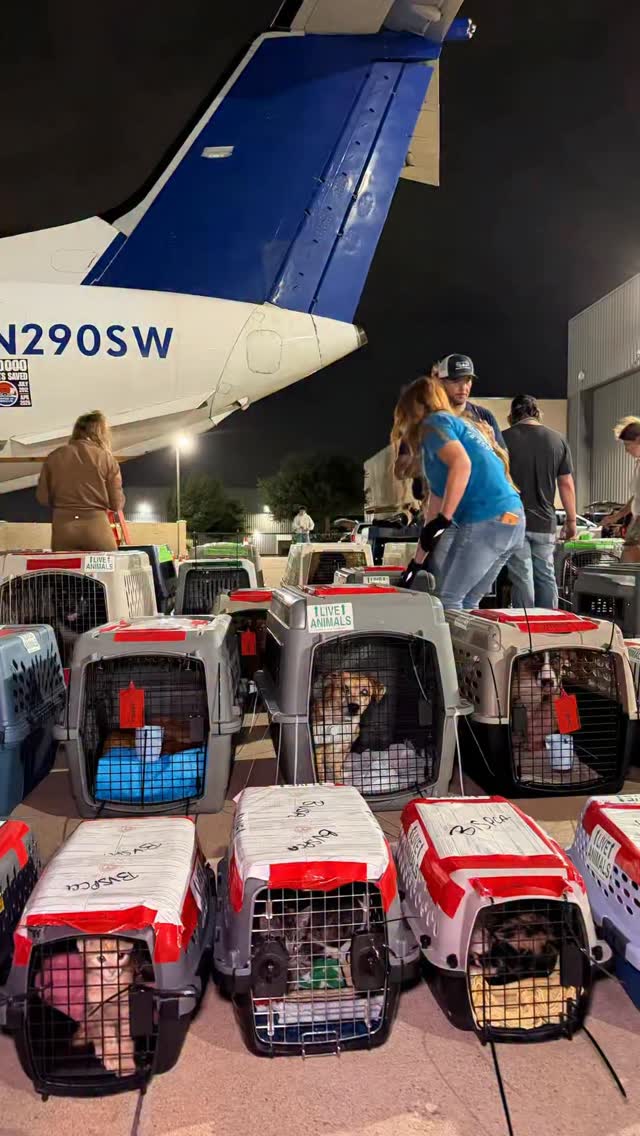 We flew today.
We’ll fly again this weekend on back-to-back missions. Then we’ll be back in the air again on Tuesday.
Four lifesaving flights in just over a week. Hundreds of lives saved.
For those newer to our page, Wings of Rescue works with shelters across North America and the Caribbean to transport pets from overcrowded shelters to partners with available space, fosters, and families waiting to adopt.
Every flight creates opportunity.
More kennel space.
More time.
More lives saved.
Learn more: LINK IN BIO
#LetTheFurFly #savinglives #dogs #cats