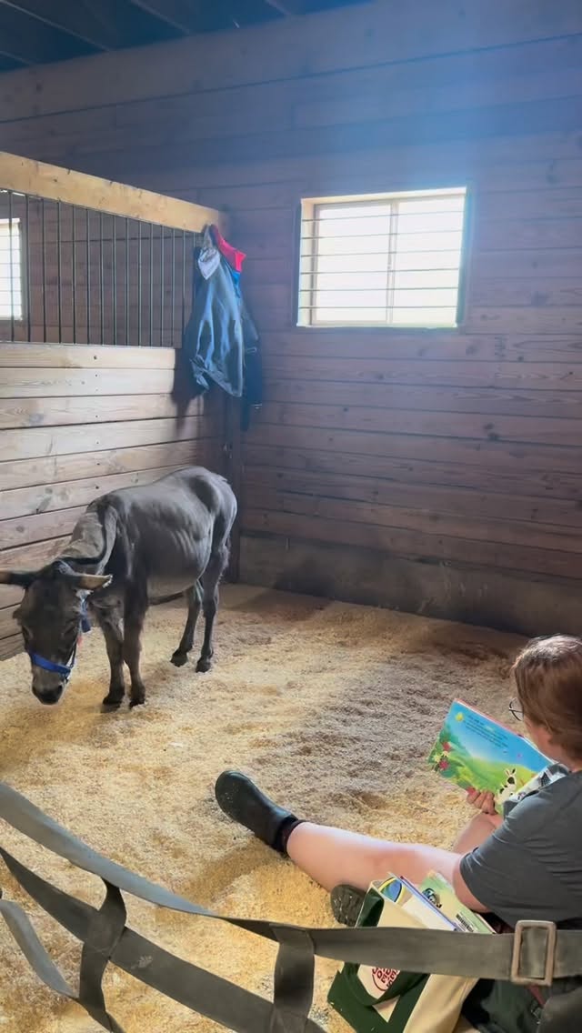 Here’s a sprinkle of happiness to brighten your day. 🥹🫏 Our donkey, Ben, loves being read children’s books by his sponsor, Jen. #ryerss #donkey #peace #farm #joy
