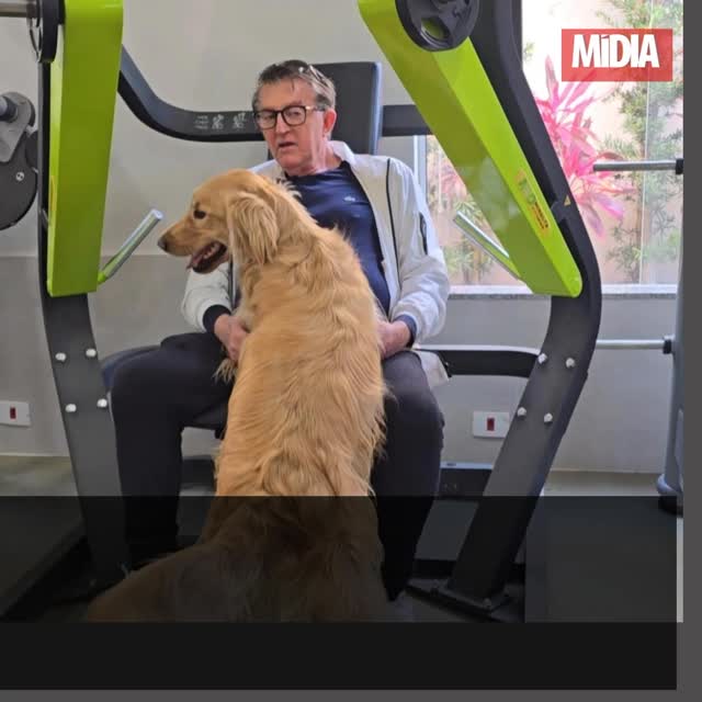 Alguns cães vivem dentro de casa. Outros vivem dentro do coração. E há aqueles que conseguem algo ainda mais raro: viver na memória de uma cidade inteira.
Nesta segunda-feira, 15 de junho, uma data carregada de emoção tomou conta das lembranças do juiz de Direito da Comarca de Guaxupé, Milton Biagioni Furquim. Se estivesse vivo, Bento, seu inseparável companheiro de quatro patas, completaria quatro anos de idade - justamente no mesmo dia do aniversário de sua tutora.
Leia a reportagem completa >>> link na bio