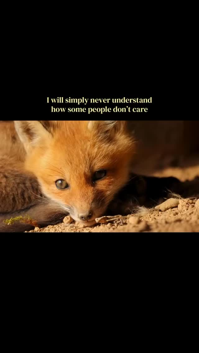 We will ALWAYS care ❤️ #animals #wildlife #compassionateconservation #ukconservation #nature