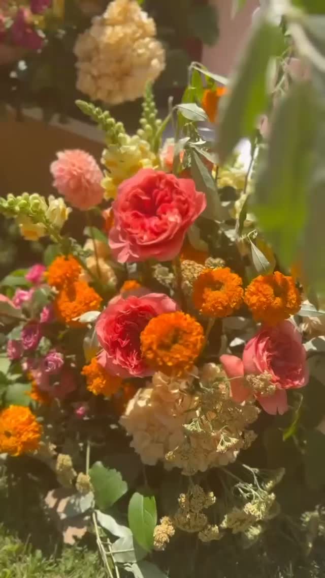 Over 7 years. ❤️
For more than seven years, we’ve poured our hearts into designing, planning, coordinating, and bringing wedding dreams to life. Watching this reel back has us feeling all the emotions.
The wedding industry isn’t always glamorous. The long days, late nights, problem-solving, heavy lifting, endless details, and the emotional investment that comes with every single couple can be a lot. We truly give each wedding everything we have.
But when we look back at all of the beautiful celebrations, happy tears, unforgettable moments, and love stories we’ve had the honor of being part of, every challenge feels worth it.
These weddings represent so much more than events to us. They represent trust, relationships, memories, and the privilege of helping couples celebrate one of the most important days of their lives.
To every couple who has chosen us over the last six years: thank you. You have allowed us to do what we love most.
And if we had to do it all over again? We absolutely would. Every early morning, every late night, every challenge, every happy tear. Because bringing your vision to life and creating a day that feels uniquely yours is, and always will be, our passion. ✨🤍
#weddingplanner #offcampus #weddinggoals