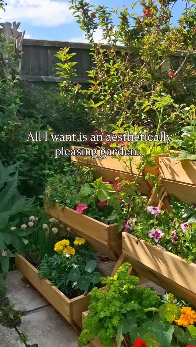 Mess grows far quicker than flowers!🫣
How is your garden looking so far this year?⚘️🪻🥕🧅
Welcome to Joy as it Flies, your cosy corner for creative living! Join us for delightful 'cook with me' vlogs and easy-to-follow recipes that bring joy to your kitchen. We also share our passion for fibre arts, offering inspiring sewing vlogs, practical tutorials, and beautiful crochet patterns and guides. Whether you're a seasoned maker or just starting your creative journey, find inspiration for food, lifestyle and fashion, and experience the joy of creating from scratch alongside us!
#joyasitflies #gardeninglife #trashman #relatable #funnyreels