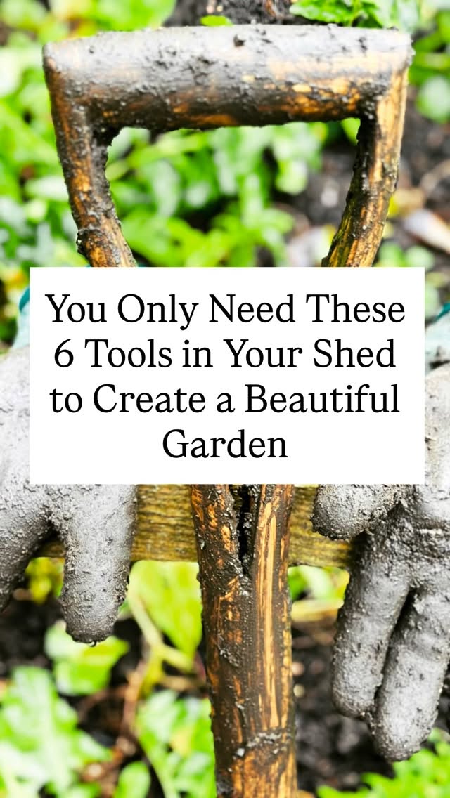 Walking into a garden center, it’s easy to feel like you need every single gadget on the shelves to maintain a beautiful garden.
Truth is? You don’t!
Over the years, I’ve learned that a successful outdoor space isn’t built on a garage full of shiny gadgets, but on a few versatile, high quality essentials. If I had to strip my shed down and choose only six tools to use for the rest of my career, it would be these:
Garden Fork: Essential for turning soil/compost heaps, breaking up hard compacted earth, and lifting heavy perennials without slicing the roots.
Garden Spade: My go-to for clean edges, digging planting holes, and shovelling mulch.
Trowel: The ultimate hand tool for planting bulbs, bedding plants, and tackling smaller weeds.
Secateurs: An absolute workhorse. From opening bags of compost and harvesting veggies to deadheading, they never leave my pocket.
Kitchen Fork: My secret weapon! Perfect for delicate weeding around tiny seedlings, thinning out, and potting on seedlings from modules.
Twine: Because everything needs a little support. Whether I’m training climbers, bundling prunings, or tying up heavy flower heads, a roll of natural twine is essential.
Pro-Tip: Invest in tools with solid craftsmanship and comfortable grips. Take care of them, and they’ll take care of your garden for decades. What’s the one tool you absolutely cannot garden without? Let me know in the comments below! 👇
#GardeningTools #GardenEssentials #GreenThumb #GardeningTips #GardenLife