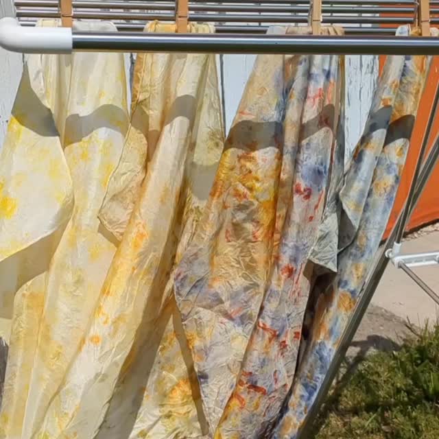 Only 2 dates left for the spring edition of our "Joy of Natural Dyes"!
Come enjoy the quiet, peaceful farm setting and make your own silk scarf with dried flowers and other natural dye materials.
Last 2 dates in June are 21st and 27th!
β€οΈπ§‘ππππ