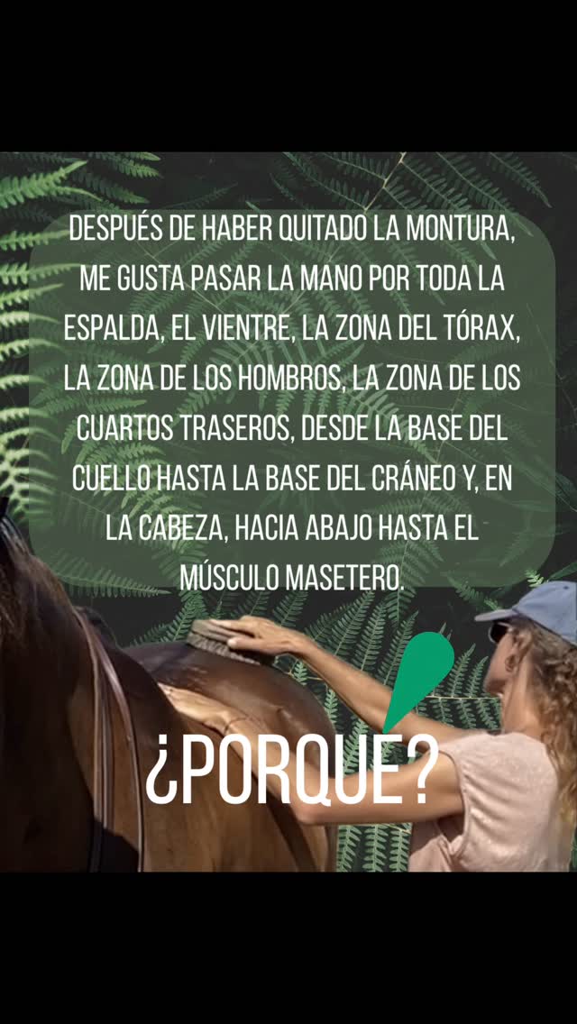 Palpamos y sentimos🥰
#caballos andaluces #observacion #salud equino #consciencia