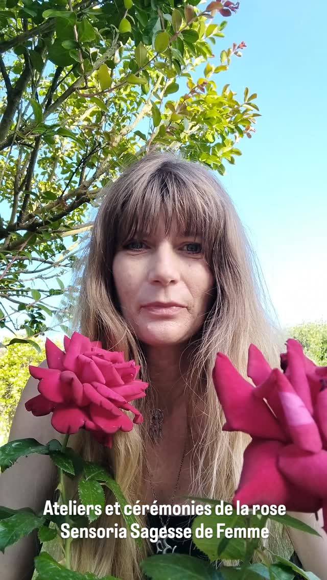 La Rose a des capacités physiques comme on peut le connaître en naturopathie mais connaissez-vous également ses dimensions émotionnelles énergétiques et spirituelles ? Je fais régulièrement des ateliers et cérémonies de la rose pour vous aider à vous connecter à toutes les dimensions qu'elle peut vous proposer
N'hésitez pas à me dire en commentaire tout ce que ça provoque en vous
Au niveau du corps physique elle est très connue comme régénérante et cicatrisante pour la peau elle hydrate nourrit et a des capacités anti âge
On peut l'appliquer pendant la grossesse en prévention des vergetures ou pour préparer le périnée
On peut l'utiliser également sur des cicatrices même anciennes on peut utiliser la rose en huile essentielle en eau de rose en huile de rose par exemple
En infusion de pétales ou en décoction notamment pour la rose rouge Rosa Gallica qui est tonique et astringente elle est utilisée pour les écoulements muqueux chroniques hémorragie et diarrhée
La Rose a aussi des facultés pour calmer la douleur et l'inflammation l'acné les brûlures légères et lutte contre l'anxiété le stress le surmenage elle aurait même des propriétés sédatives
On peut faire aussi de la confiture de rose ou du miel de rose appelé mellite de rose on peut également l'utiliser en bain
La dimension émotionnelle spirituelle énergétique de la rose :
Elle permet de transcender ses blessures affectives permet l'ouverture du cœur et des reconnexion à l'amour, grâce à ses épines elle peut montrer qu'on peut poser ses limites et qu'elle sait se défendre
En fumigation il existe des encens à la rose, en la diétant ou en faisant des voyages avec elle, elle permet de dévoiler d'autres possibilités en fonction de l'intention que vous y mettez
La rose viendra travailler les parts de soi qui en auront besoin comme la compassion la confiance en soi le courage la créativité mais bien d'autres choses puisqu'elle s'adapte à chacun et à chacune en fonction du besoin et de l'intention
La liste peut-être encore longue 😁
Avec tout mon cœur ❤️
Sandrine
Sensoria Sagesse de Femme
#rose #sensoriasagessedefemme #holistique #therapie #mieuxetre