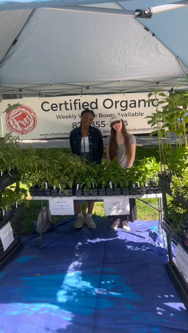 BIG Shout out to Kaleigh and Sussanah who’ve been holding down the markets this season! Today they’re at Main Street Market - @mainmarketottawa - until 2pm and at the Barrhaven Market - @barrhaven_market - from 10am-2pm on Sunday.
Our team is a HUGE piece to this seasons success, so when you see them , please show them some love !
The fields are filling up with their help as well and we’ll have veggies ready to harvest in a few weeks to bring to market.
We are a Family of 2 entrepreneurs and 3 little explorers , so our days are very full! All extra hands in our life’s are highly valued and so deeply appreciated.
In another lifetime, we’d do this again💜
#blackfarmer #urbanfarm #ottawafarmersmarket #ottawafarms #farmingwhileblack