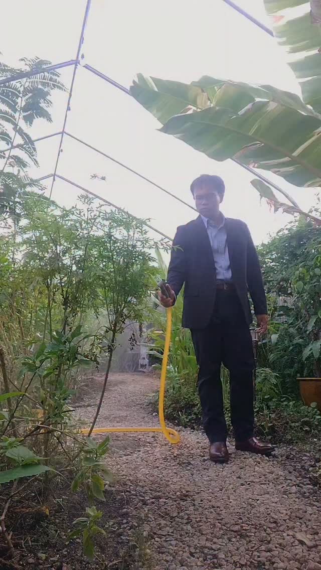 When you have a World Cities Summit to attend at 4pm but some plants to water and chickens to feed at 5pm.