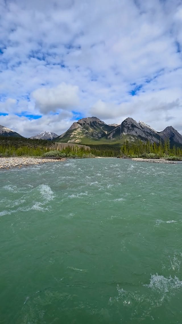 Where the Siffleur meets the North Sask River. šš¦
#dtcountry #canadianrockies #abrahamlake #explorealberta #rafting