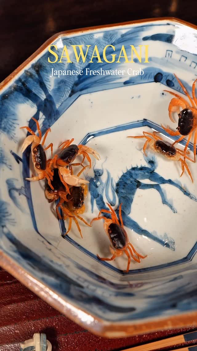 Tiny but packed with flavor. 🦀✨
Sawagani to start the evening at Kaiseki Sanga — a seasonal appetizer that’s crispy, delicate, and meant to be enjoyed from head to tail.
#kaisekisanga #lasvegas #authenticjapanesefood #vegas #dinnerideas