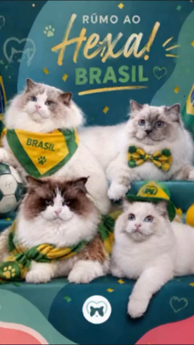 É show, por onde a gente passa conquistou 🇧🇷🐾💚
#copa2026 #blumenkatzen #brasil🇧🇷 #ragdoll #ragdoll_world