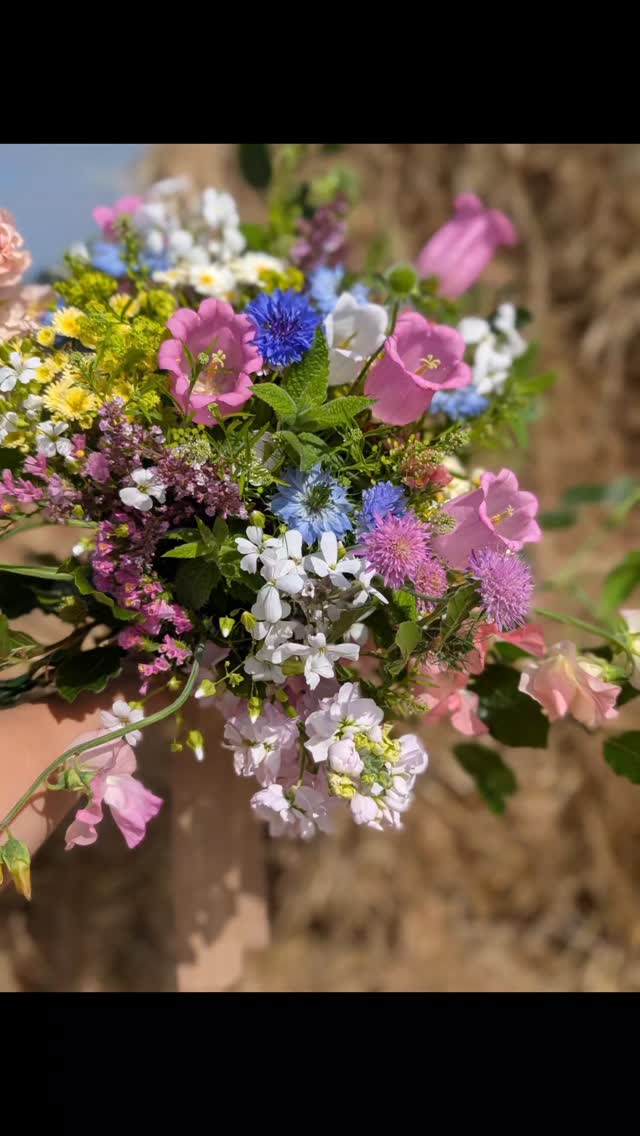 A beautiful Cornish country fair style wedding for E and C at pengelly barns... Love all the summery Cornish flowers... And the smell was incredible! 🥰
@hendrafarmflowers 😍
@pengellyweddings
#weddingfloristcornwall #countrywedding #outdoorwedding #summerweddingflowers #cornishflowers