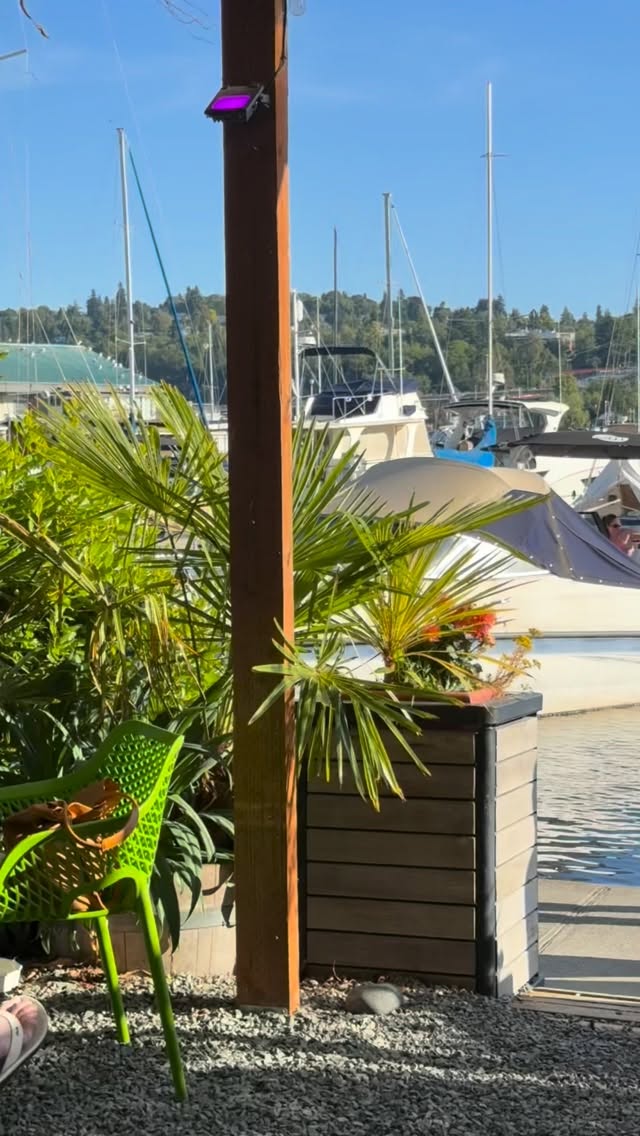 Vibing in the Marina Catina 🏝️☀️