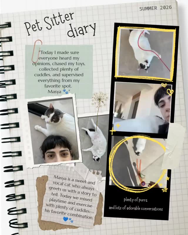 🐾Pet Sitter's Diary – Masya 🐾
Today was all about keeping our vocal little friend entertained and happy!
Masya is one of those cats who always has something to say. From the moment we arrived, he greeted us with his adorable chatter and made sure we knew exactly how his day was going. 😸
To keep him active, we brought some toys and encouraged some playtime and exercise. Between games, Masya happily accepted what he loves most—cuddles, attention, and quality time together.
Watching his playful side come out while still making time for snuggles is what makes visits with Masya so special.
Today's reminder from Masya:
A little exercise keeps the body happy, and a lot of cuddles keep the heart full. 💙🐾