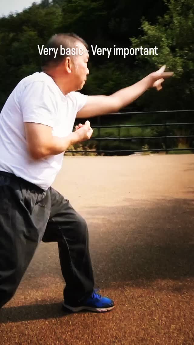 It sounds simple but you'd be amazed how often you catch students looking off to one side as they remember what to do next, or looking at their hands or leading with their hands only to have their gaze arrive afterwards. Sigong here highlights how important it is that your eyesight and intention therein leads your movement like a hawk!
#kungfu #lungying #dragonkungfu #martialarts #sigong