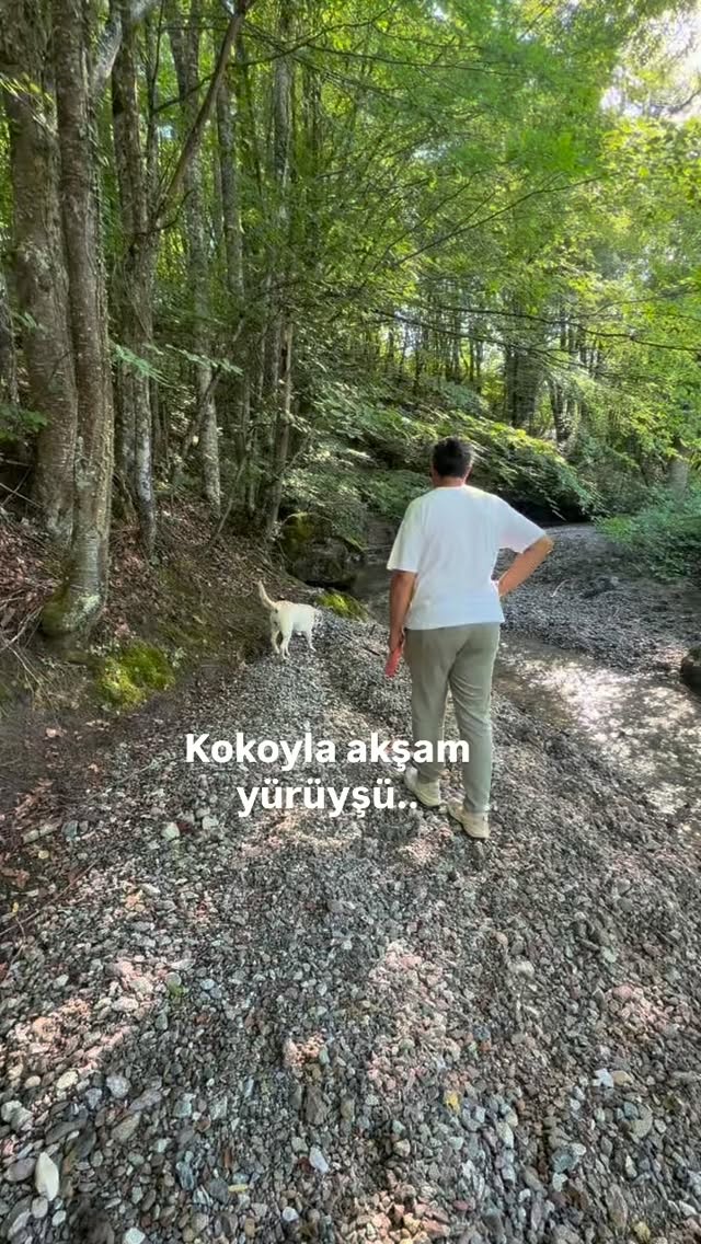 Hayat da böyle değil mi, her şeyin aynı olduğu sıkıldığın bunaldığın noktada durduk yere farklı bir yol seçmeye karar verince seni şaşırtmasını hep bilir🌱