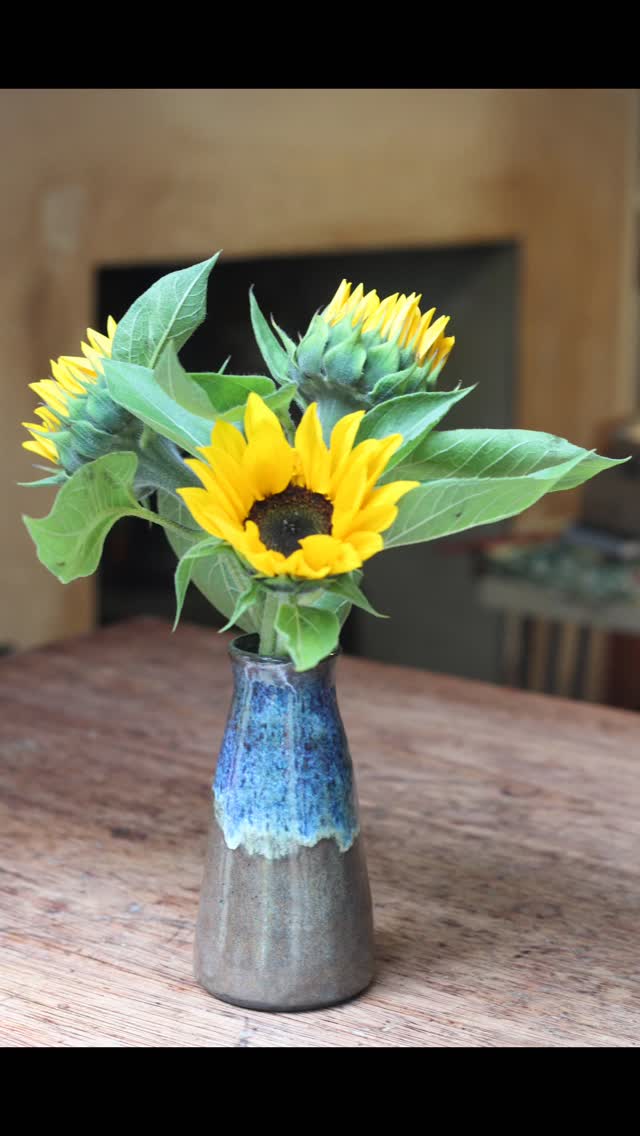 I have so many photos of vases on my memory card so I thought I’d share some more to mark the occasion - vases now available from the lovely and fantastic @priorshopbristol 🥳 #priorshop #stwerburghs #jenmakespots #bristolpotter #lovelyflowers