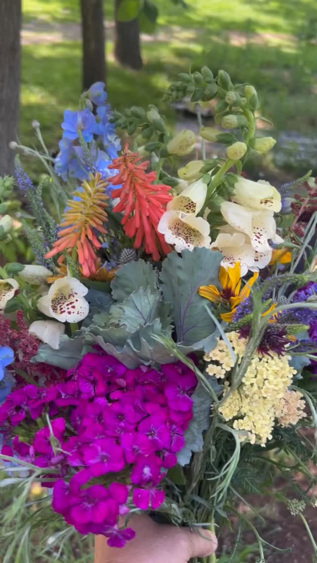 This week features the lush diversity of the June perennial garden. So much color, so much texture, so much to chose from when making this week’s bouquets. Get yours tomorrow at the Charles Town a farmers market from 9-12 on S . Samuel St. #walkingwindfarmandflorist #charlestownwv