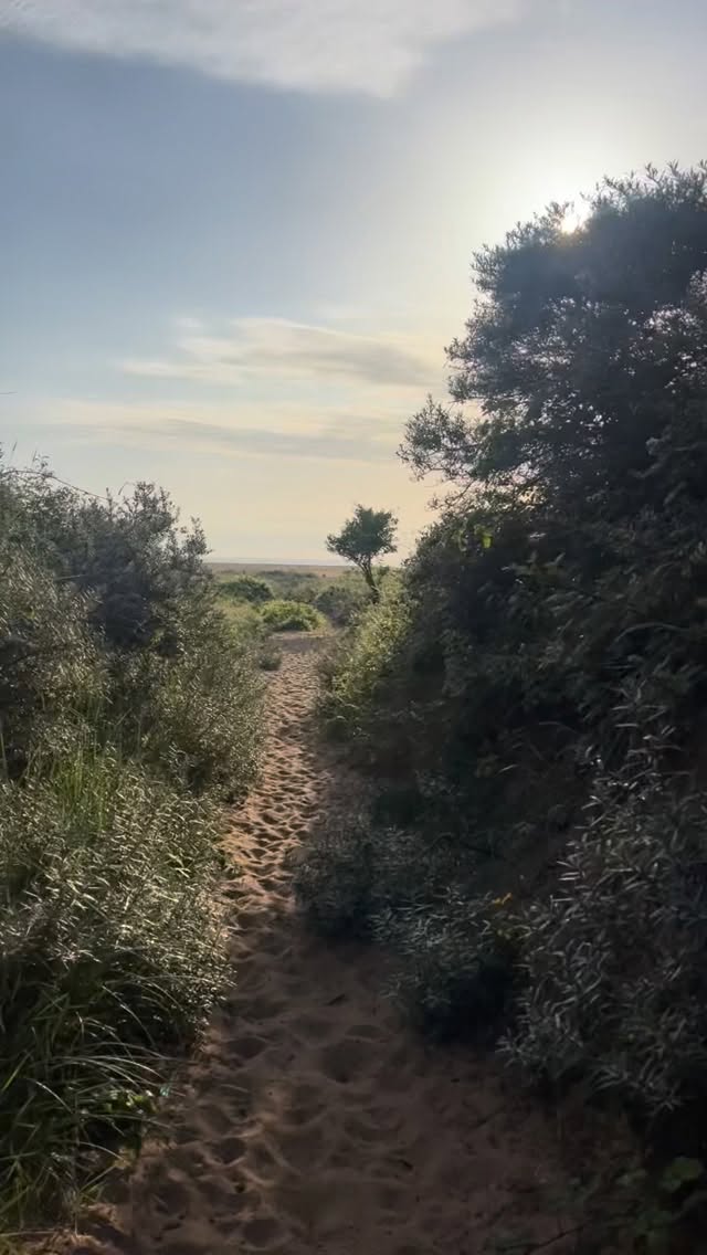 Morning 🌅 🌊 🌳 🌀🫶🏻🙏🏻✨