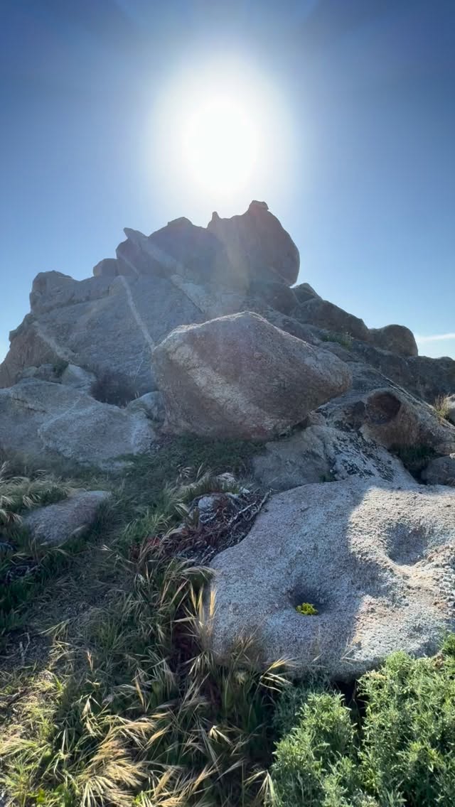 Creating simple rituals can help us slow down and acknowledge what’s happening in this moment.
Whether it’s placing a flower, lighting a candle, taking a walk, or sitting by the ocean for a few quiet minutes, these small acts can bring us back to ourselves…
#presence #mindfulness #nervoussystemregulation #selfawareness #healingjourney