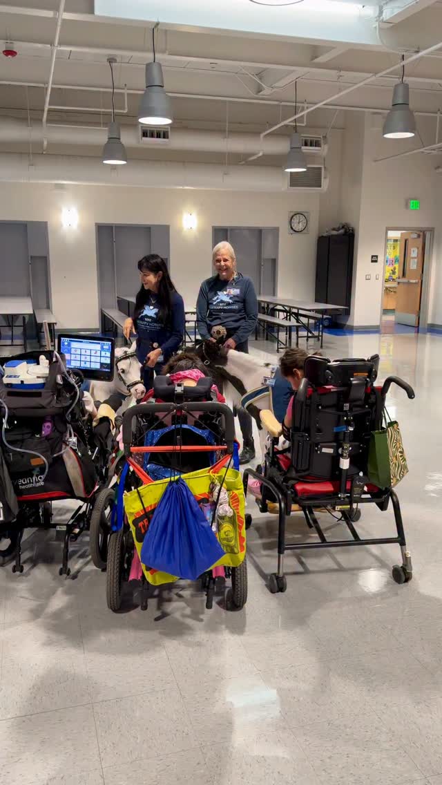 Our visit at Mountain View School was full of magical connections with children from 3 to 22 years old. Blue Moon and Belle were angels interacting with the kids compromised with severe disabilities including being nonverbal, visually impaired, autism and other challenges. The connections by touching, and feeling our minis by their side was such a special experience for the kids. #minitherapyhorses #horse #autism #healing #children #kids #disabilityawareness @cedarssinai @ucla_pac #school #compassion #kindness #animaltherapy #equine #wellness #hope #comfort #community #love #visuallyimpaired #connection