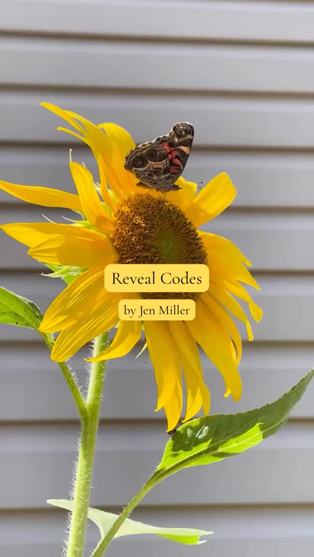 Serendipity in summer 🌻 #poetrylovers #poetryreels #sunflowers #naturepoetry #spiritualpoetry