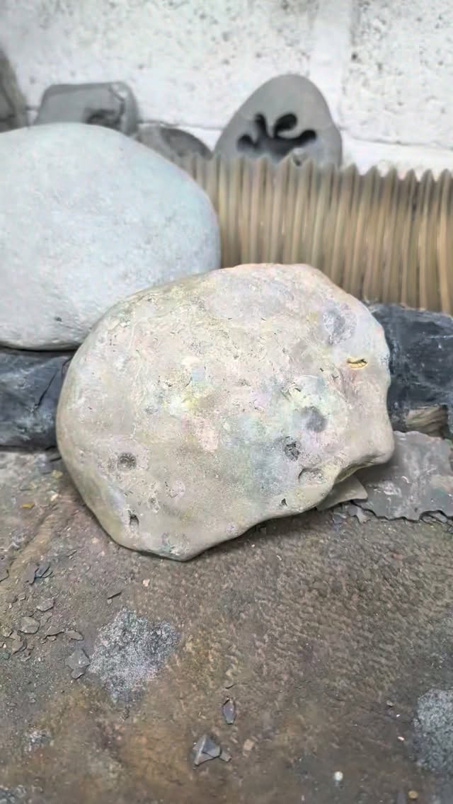 When I found this stone in a rock pool on Charmouth beach, I took a chance on it and collected it. I could see ammonites wearing out of the back of it but wasn't too sure if it would prepare well. Often these things don't.
I was very happy to find that it was a very unusual Arnioceras ammonite bed with exceptional preservation - they usually travel solo or with one or two friends in this type of rock :)
#ammonite #fossil #jurassiccoast #fossilpreparation #fossilhunting