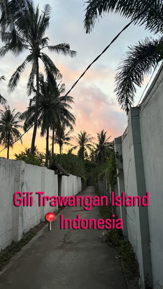 I spent the last several days on Gili Trawangan island in Indonesia getting my open water scuba certification 🏆🤿 and it was such a beautiful time! Not a lot of pictures because I was mostly underwater but saw lots of beautiful sunsets and sunrises and had a blast biking around. I was staying in a wood cabin which had the most lovely acoustics for my practicing as well 🤓 Back to Bali for a few days until the next adventure! 🌴
•
#gilit #gilitrawangan #solofemaletraveler #musicianlife #scubacertified
