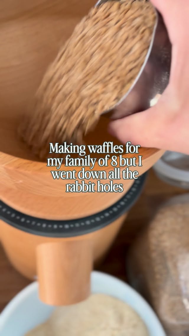 Fresh milled einkorn waffles, new here? 👋