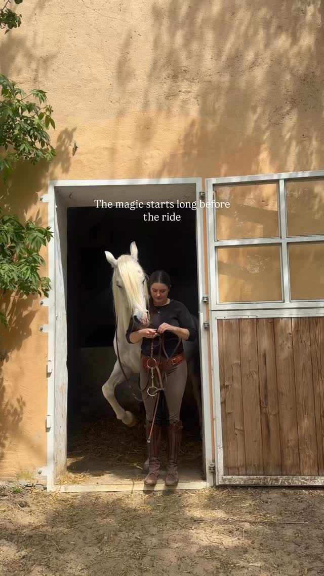 Long before the first step into the saddle, there’s a quiet conversation without words.
As you brush, tack up and take your time, your horse is already reading your energy. They notice if you’re calm, present, impatient or distracted. And in those few quiet minutes, you’re doing much more than getting ready to ride.
You’re having a conversation.
Finding the same rhythm.
Meeting each other exactly where you are.
Sometimes, the most meaningful part of the ride happens before it even begins.
#sophisticatedequestrian#equestrianlifestyle#horsegirlenergy#bgbclub#horselife