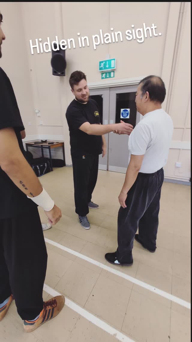 There are different levels to this stuff...
#sigong #kungfu #lungying #dragonkungfu #martialarts