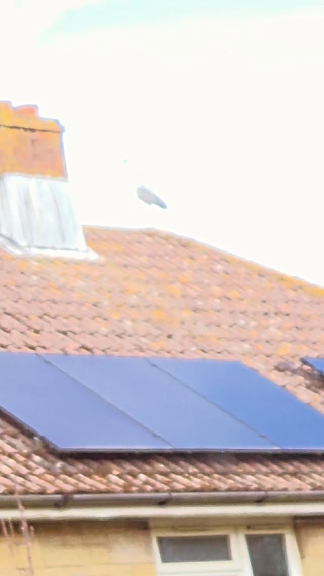 Had a visitor recently! One of the amazing things about living & working on the Isle Of Wight is the wildlife you encounter every day, but this was something special!