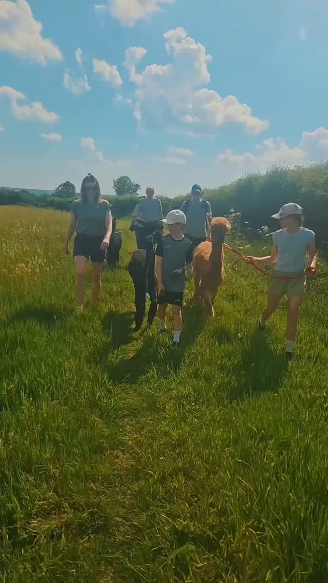 Sunshine, fresh air, beautiful countryside views, and some very fluffy walking companions. ☀️🦙
Our alpaca walks are the perfect way to make the most of summer. Take a leisurely stroll with one of our friendly alpacas, enjoy some feeding time, and create memories you'll be talking about long after the walk is over.
Spaces are filling up fast, so book your summer alpaca adventure today!
#alpacawalking #summerdaysout #meetthealpacas #familyfunuk #countrysideescape