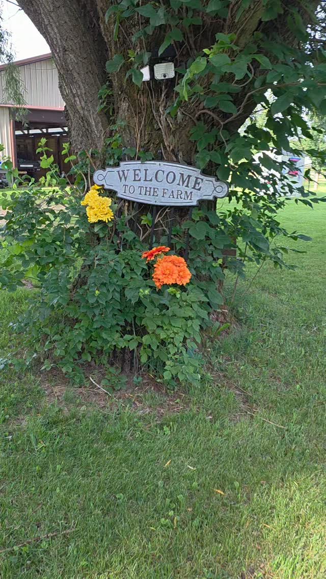 Scenes from the sanctuary tour #farmsanctuary #farmanimalrescue