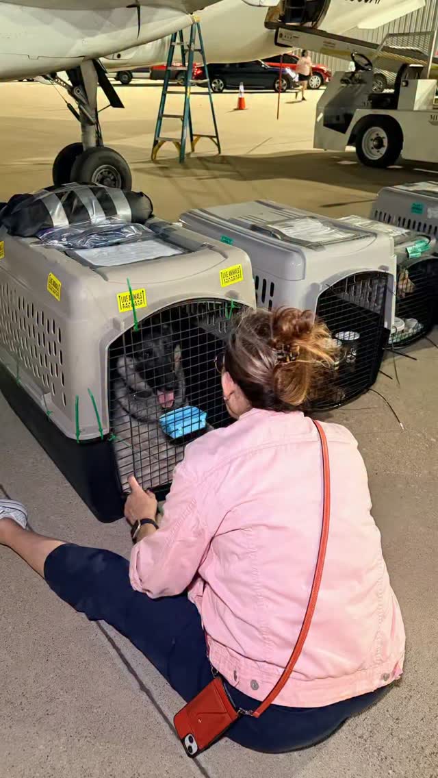 In the middle of preparing a large transport flight, one quiet moment caught our attention.
A shelter foster sat on the tarmac beside the dog she had loved, savoring a few final moments before he boarded our aircraft. There were sweet nose boops, quiet words, and one last reminder to “be a good boy.”
It was a beautiful glimpse into the heart of fostering. Every flight begins long before the wheels leave the ground. It begins with someone willing to open their home, invest their heart, and prepare a pet for the next chapter of its life.
To every foster who loves without holding on, thank you. Because of you, more shelter pets have the chance to reach new communities and brighter futures.
We are honored to fly the pets you’ve loved.
✈️ Link in bio.
#LetTheFurFly